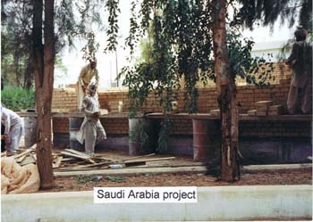 Page 117 - Saudi Arabia Project